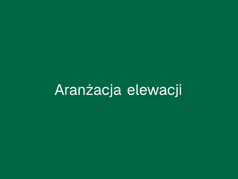 Aranżacja elewacji