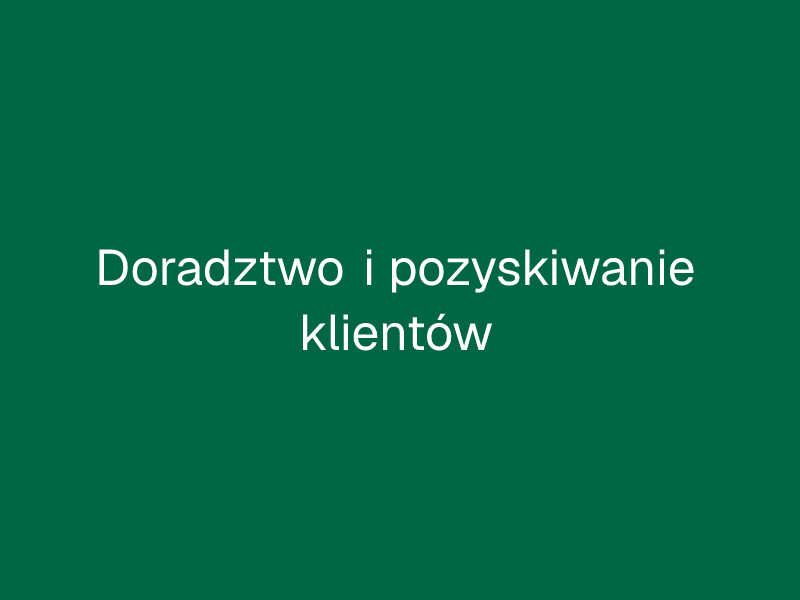 Doradztwo i pozyskiwanie klientów