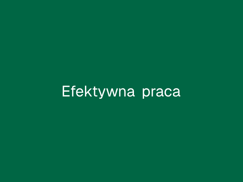 Efektywna praca