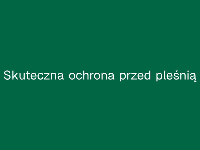 Skuteczna ochrona przed pleśnią