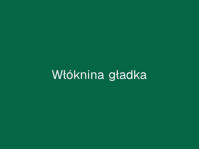 Włóknina gładka