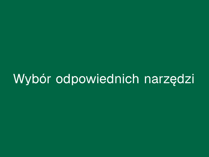 Wybór odpowiednich narzędzi