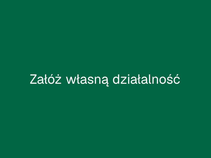 Załóż własną działalność